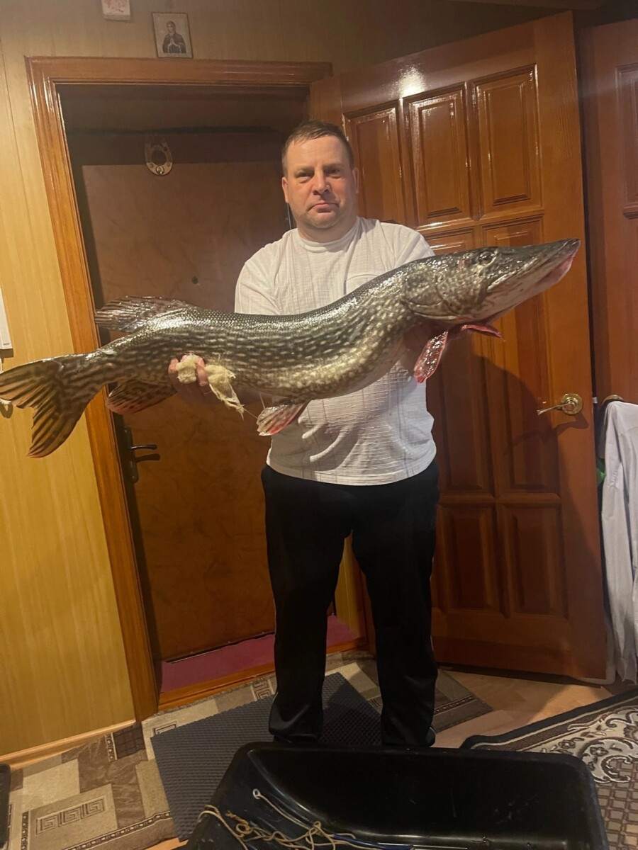 Житель Брянска поймал 10-килограммовую щуку на рыбалке в Белых Берегах