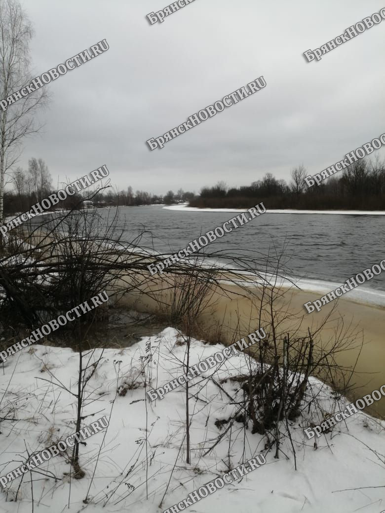 В Брянской области за сутки сильно снизился уровень воды в реках