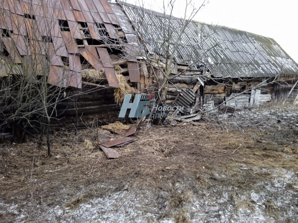 В результате минометного обстрела в селе под Стародубом в Брянской области повреждены 17 домов