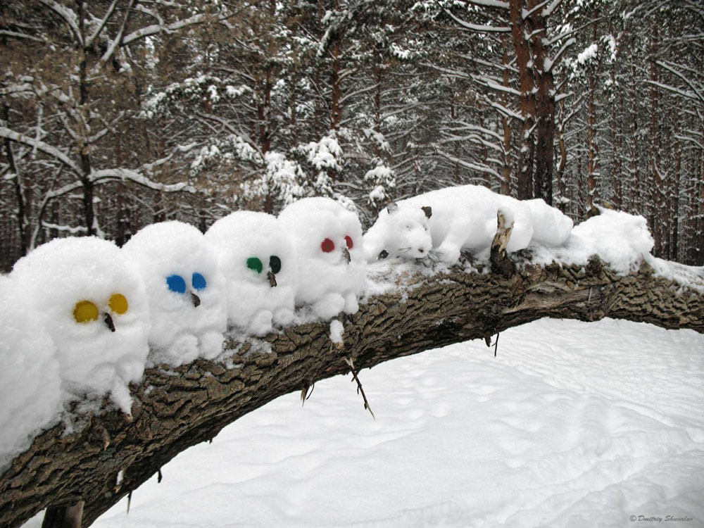 На выходных в Брянской области не ждут сильных снегопадов. Они придут в начале недели