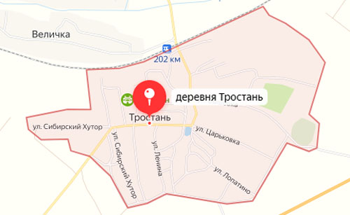 Полиция Новозыбкова разбирается в инциденте, произошедшем в Тростани накануне