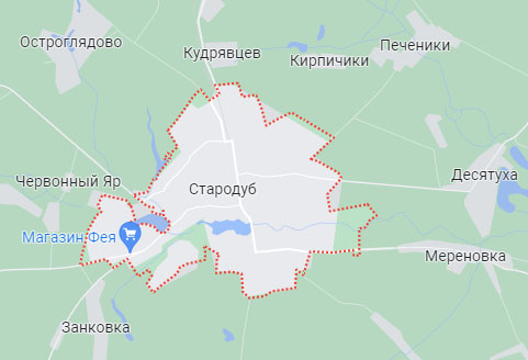 Богомаз: украинские националисты атаковали территорию Стародубского и Брянского районов