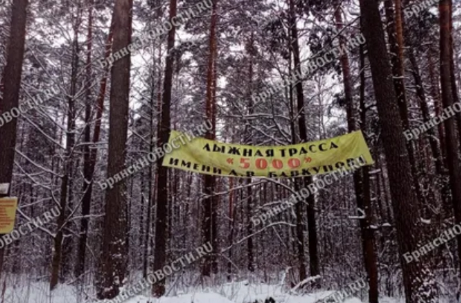 Для «Лыжни России» в Новозыбкове готовят трассу имени Бавкунова