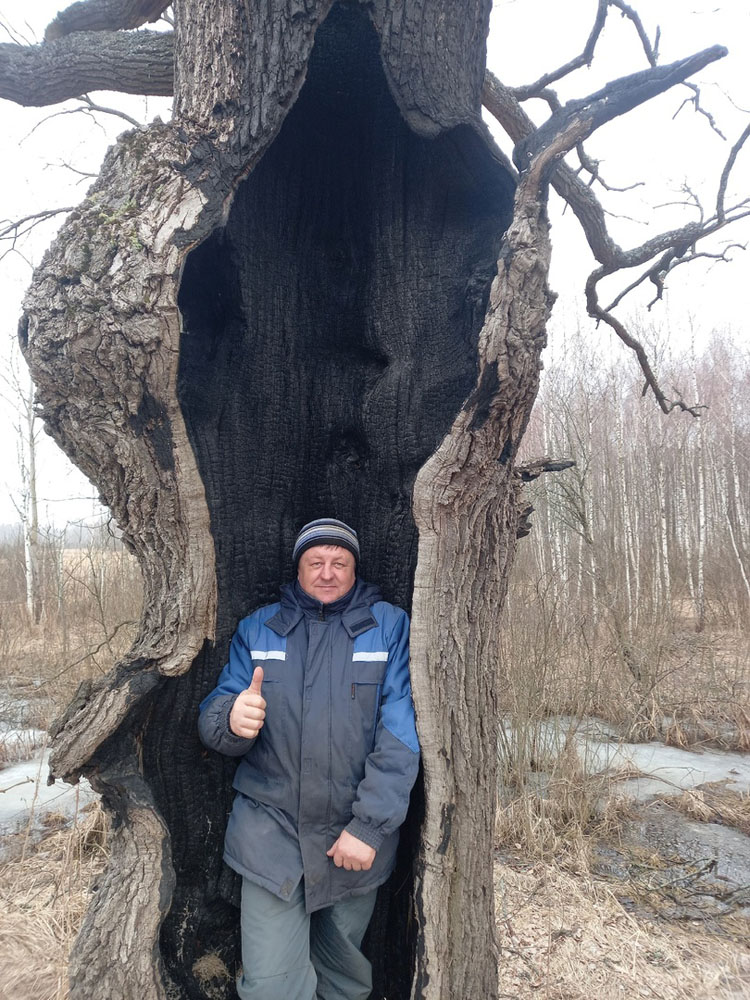 Когда дубы уже не колдуны. Житель Новозыбкова наглядно показал последствия травяных палов
