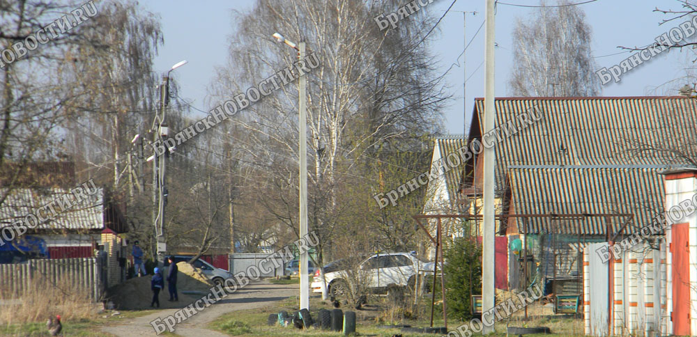 В Новозыбкове четыре больших березы попросили кронировать наполовину