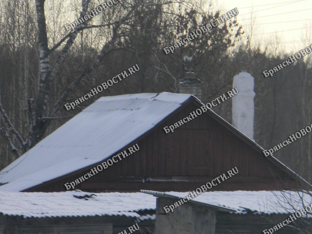 В селе Новозыбковского района воры взломали гараж