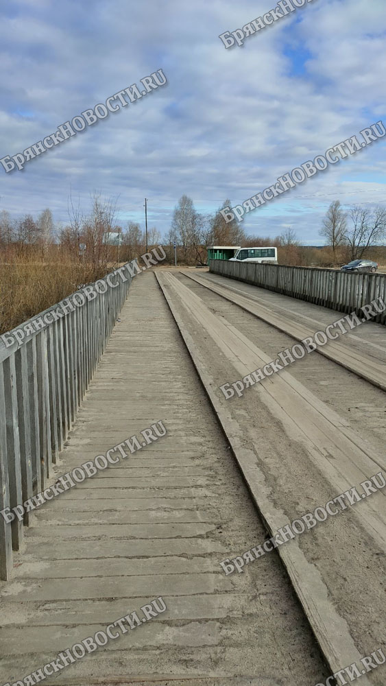 В селе Перевоз под Новозыбковом расследуют гибель домашней птицы