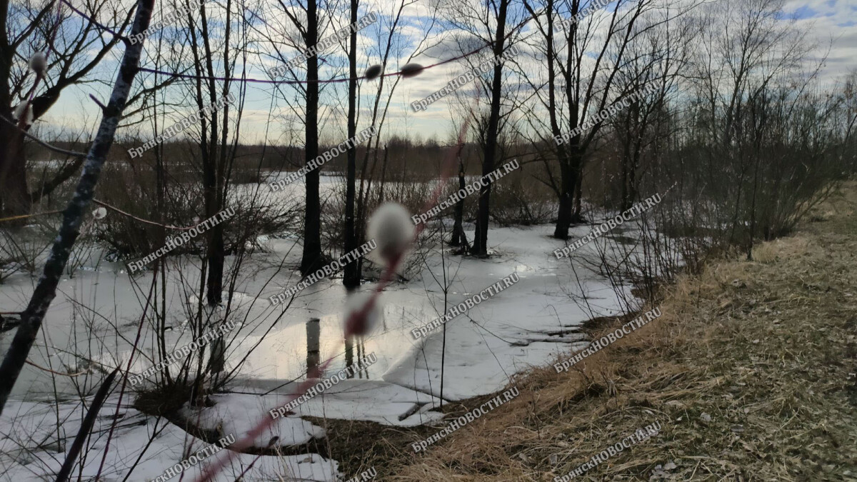 Лед на водоемах в Брянской области прочно держится в Дятьково, Клинцах и  Почепе • Новозыбков.SU