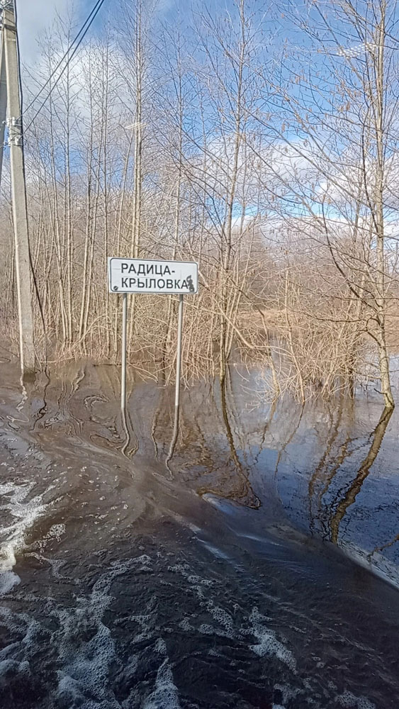 В Брянской области затопило 379 домовладений. Самая сложная ситуация в Радице-Крыловке