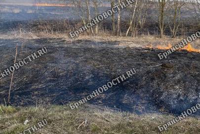 Новозыбковский округ продолжает полыхать — за сутки тушили четыре пожара