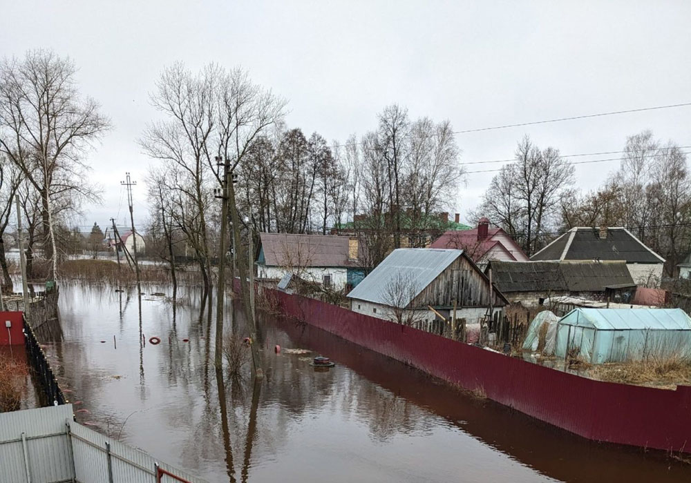 Вышедшие из берегов реки в Брянске разом затопили 271 жилой дом