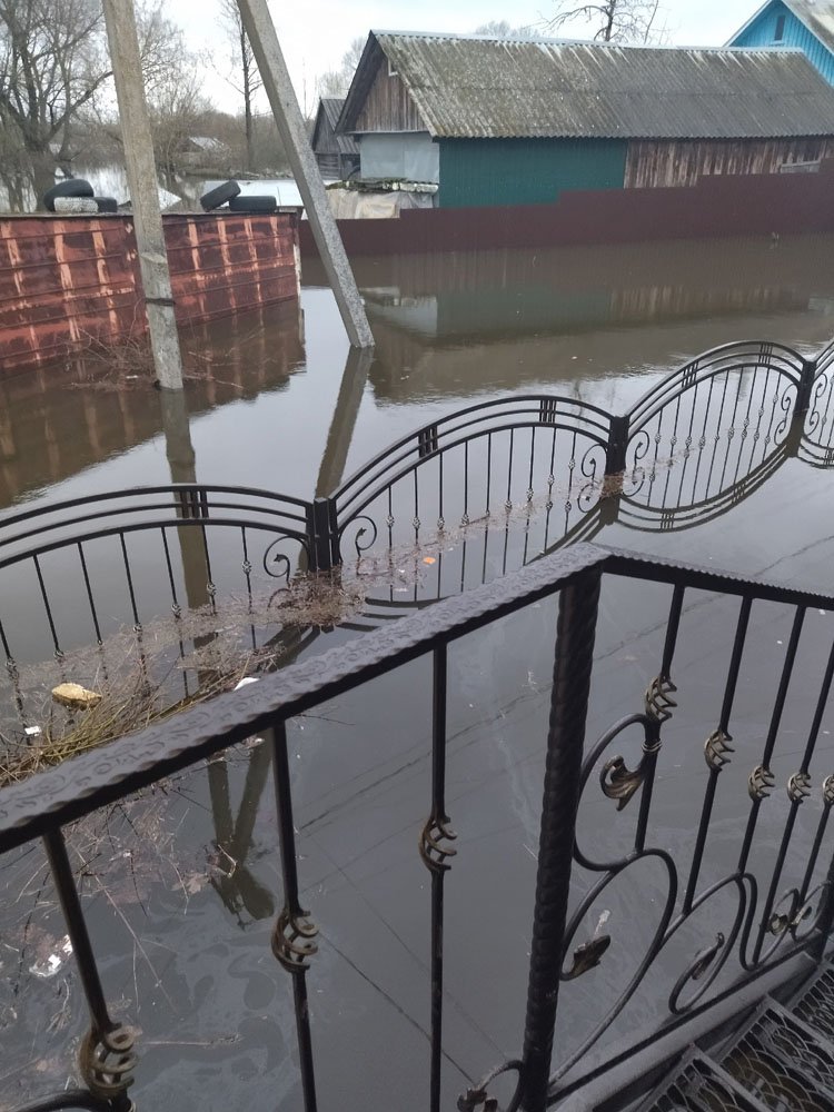 Сегодня паводок в Брянской области может накрыть еще 290 домовладений
