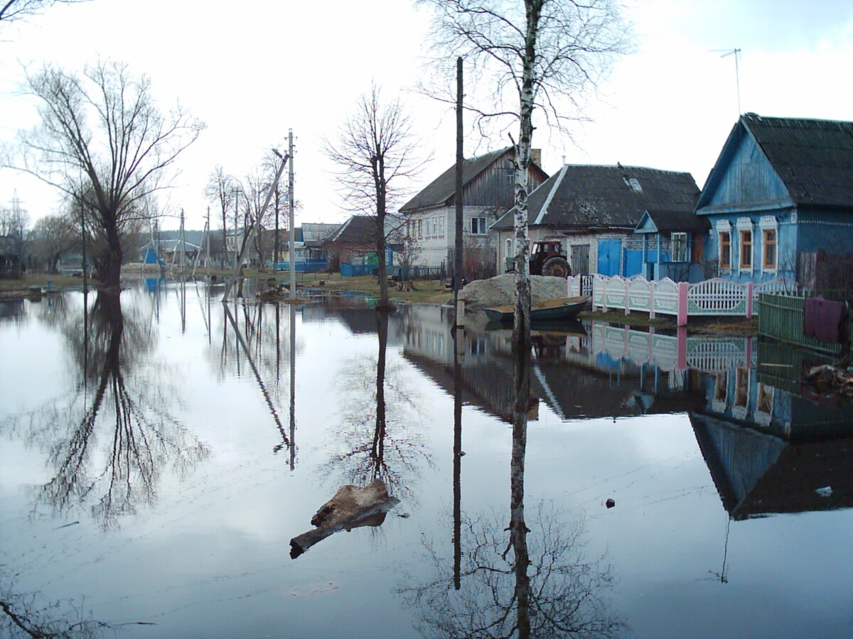 «Большая вода» в Брянской области затопила приусадебные участки и дорогу