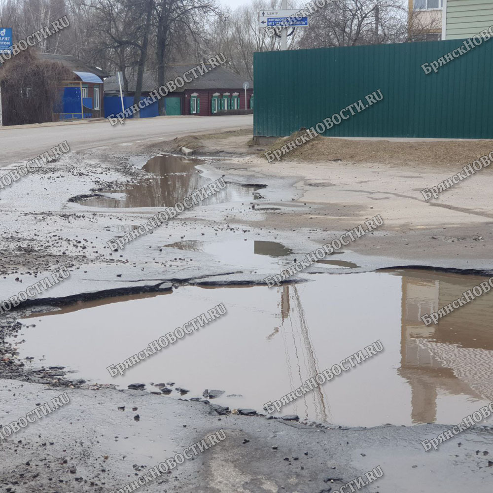 Проезду с огромными ямами на Рошаля в Новозыбкове пообещали ремонт