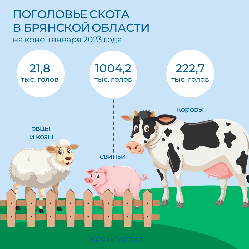 В личных подворьях жителей Брянской области коров и свиней практически не осталось