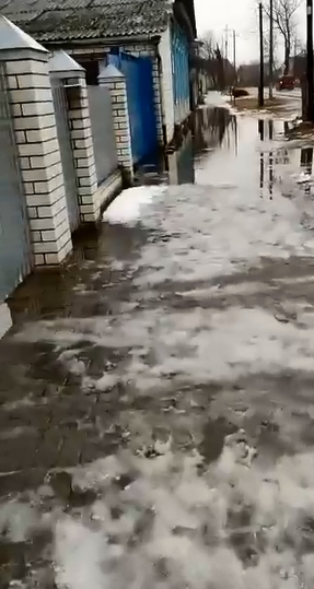 В Новозыбкове затопило дома на Садовой