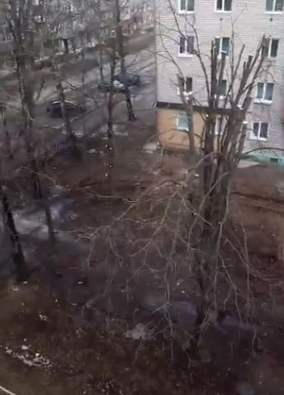 В Новозыбкове жильцы заспорили о спиле деревьев в скверике между многоэтажками по Садовой