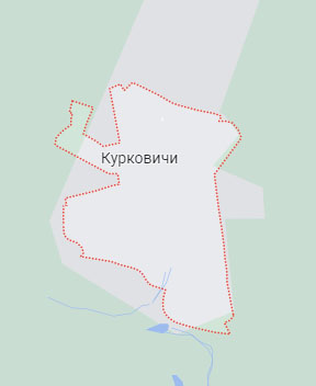 ВСУ сегодня обстреляли село Курковичи в Брянской области