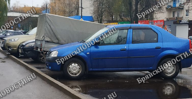 Водитель из Новозыбкова застал взломщика авто на месте преступления