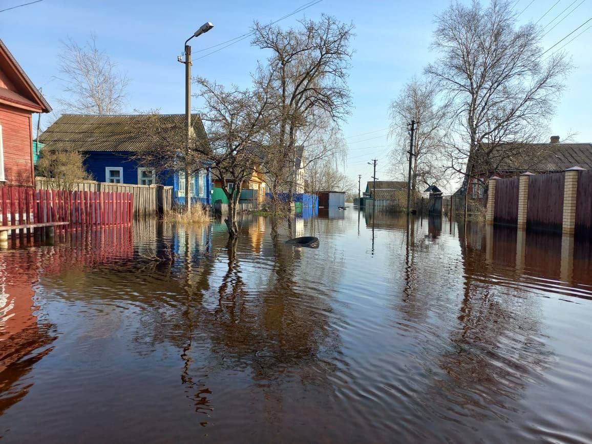 «Большая вода» отступает: в Брянской области число затопленных домовладений сократилось до 225
