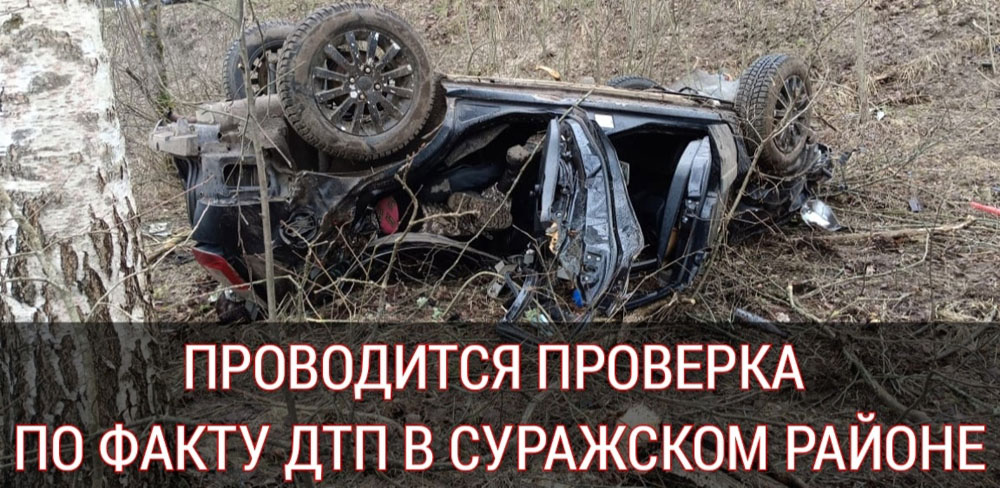 Авария в Брянской области сегодня унесла жизни троих: погибли водитель, пассажир и ребенок
