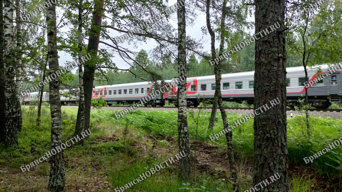 Расписание трех пригородных поездов изменится в Брянской области