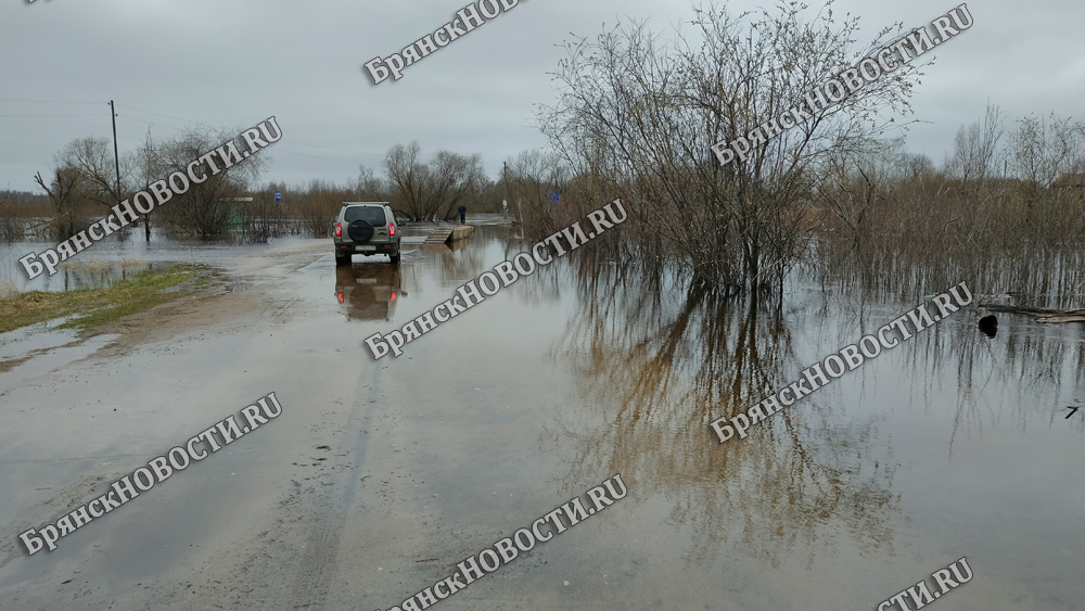 Мост в селе Перевоз под Новозыбковом остается затопленным
