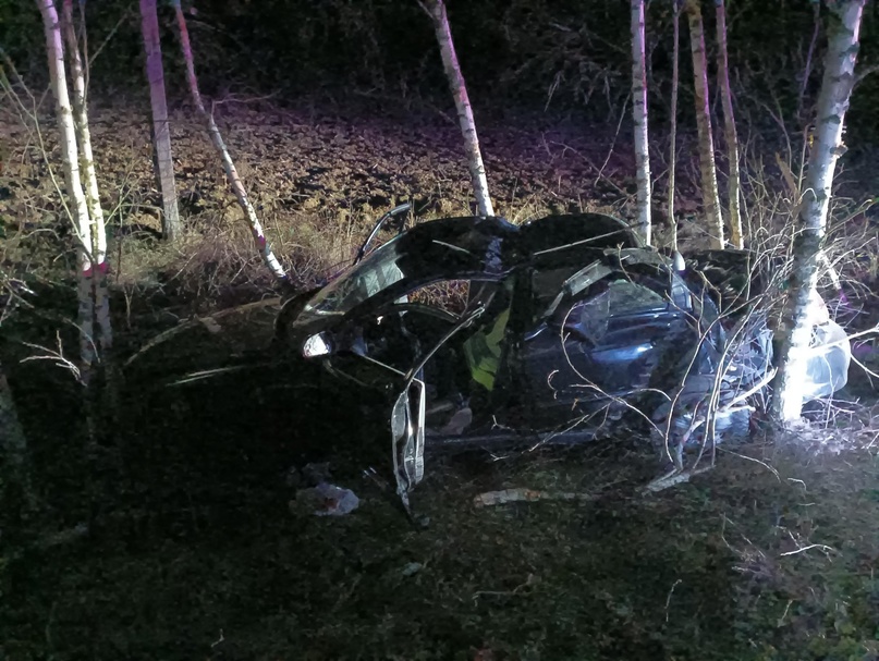 В Красногорском районе в аварии погиб 63-летний водитель