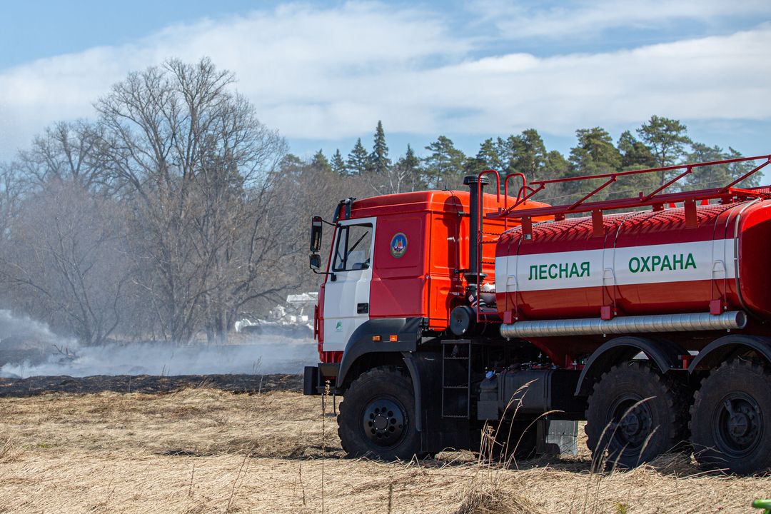 Палы сухой травы перерастают в масштабные пожары – ежедневно в Брянской области тушат до 100 гектаров