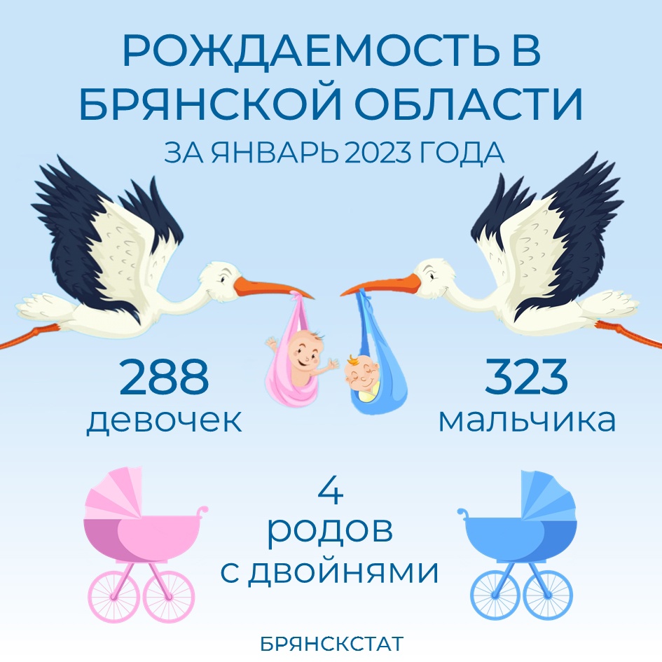 Родовой сертификат позволяет беременным выбрать роддом, а медучреждениям Брянской области получать миллионы рублей