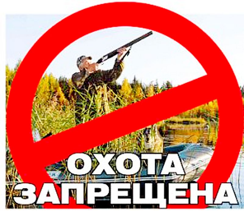 В приграничных областях Брянской области продлили запрет на охоту еще на год