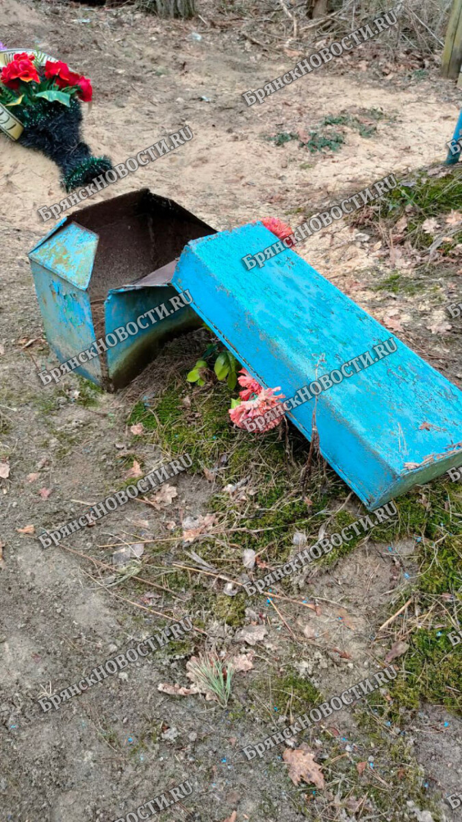 На кладбище в селе Замишево вандалы повредили памятник и мраморные вазы