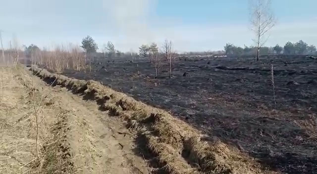 В Брянской области произошел первый в сезоне лесной пожар