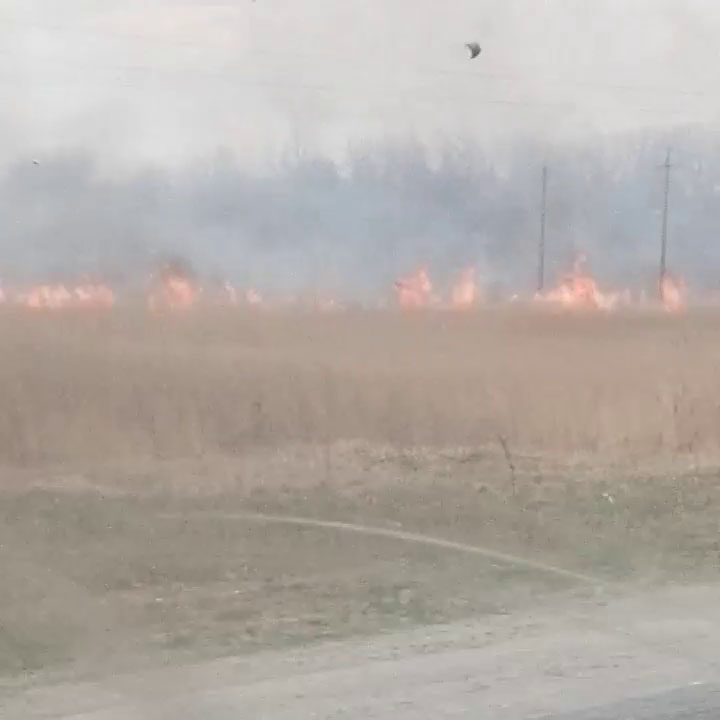 Водители сообщают о крупном природном пожаре в Почепском районе