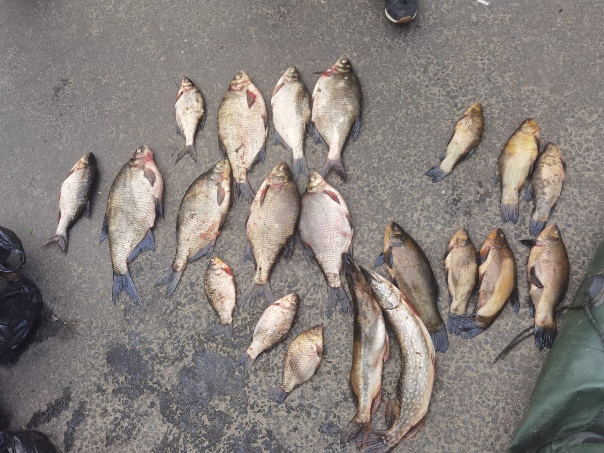 В Брянске полиция остановила браконьера с сетями и двумя пакетами рыбы