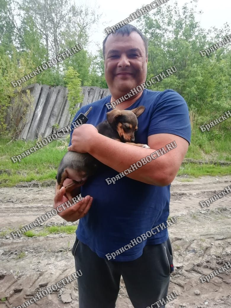 Еще один счастливый щенок сегодня обрел дом в Новозыбкове • Новозыбков.SU