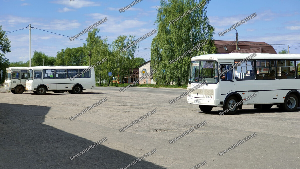 В Новозыбкове временно внесут изменения в график движения пассажирских автобусов