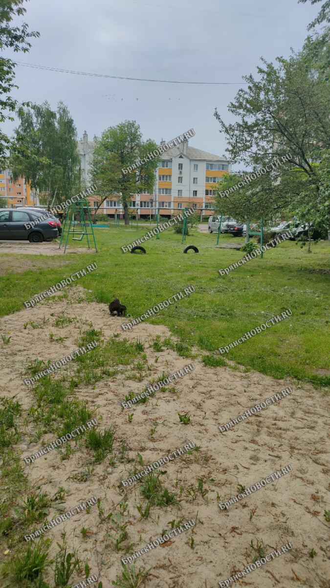 Жители улицы Вокзальной в Новозыбкове показали «допотопную» детскую площадку