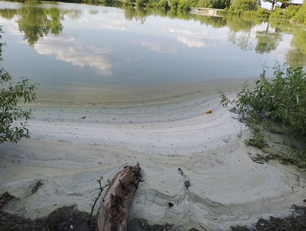 Жители Клинцовского района показали «пенные» берега местного озера