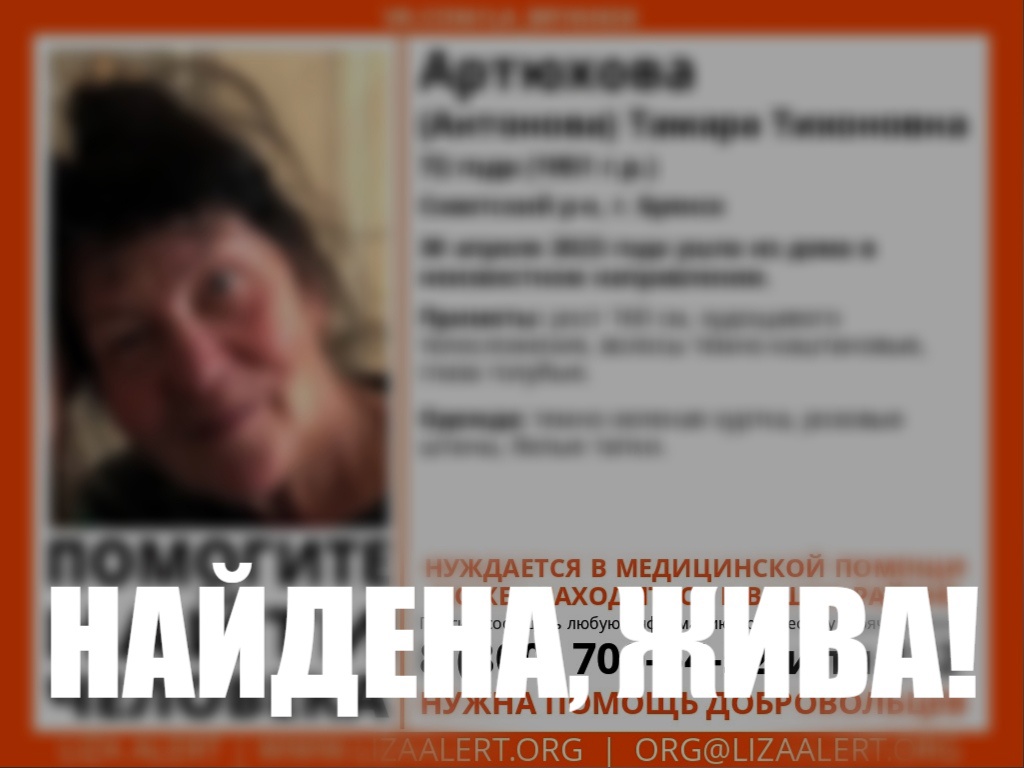 Отряд «Лиза Алерт» нашел пожилую женщину в Брянске за два часа