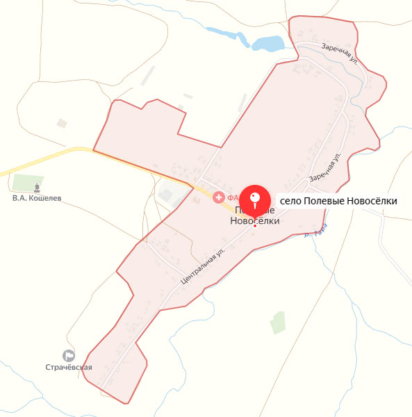При обстреле ВСУ села Брянской области пострадал один человек