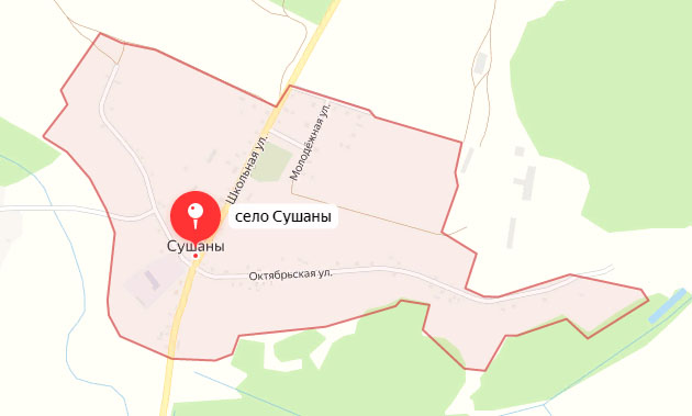 Жители села Сушаны в Климовском районе сообщили «о прилетах» 9 мая