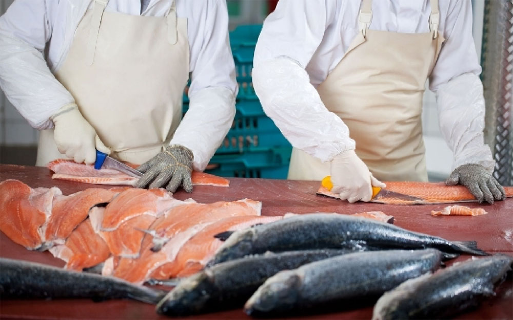 Обрезь форели превращается в «форель горную»: на рыбном заводе в Брянске выявили нарушения