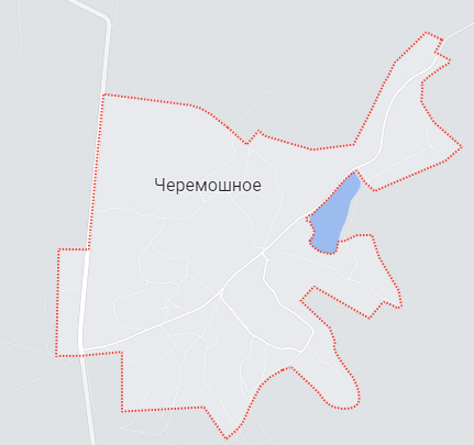 В белгородском селе мужчина косил траву и наступил на мину-«лепесток»