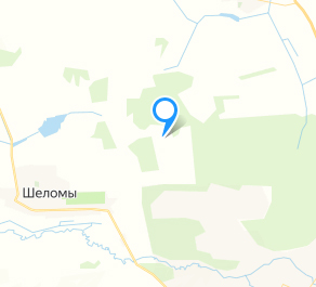 В поселке Палек Новозыбковского округа полностью выгорело домовладение