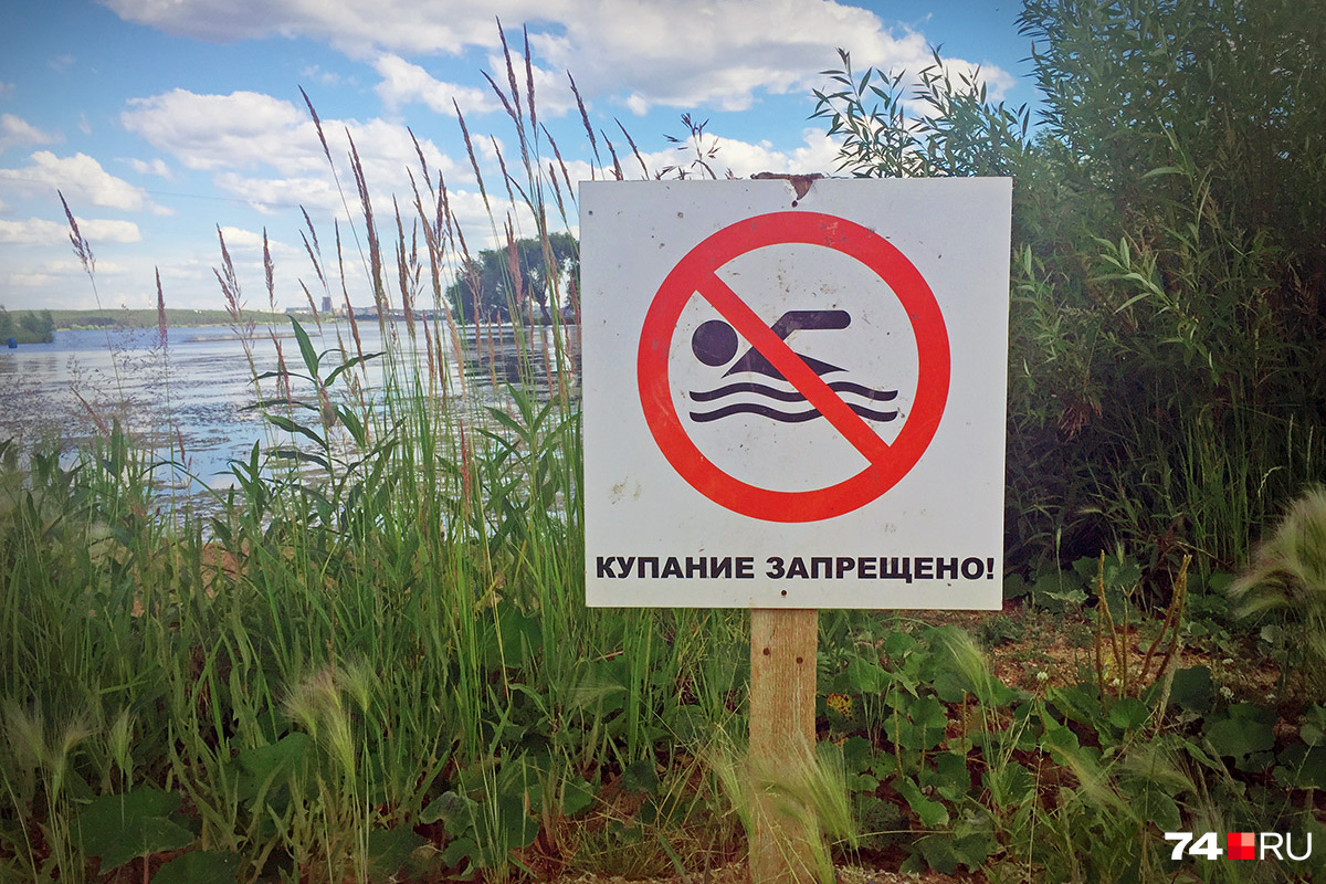 В водоемах 11 из 45 пляжей в Брянской области Роспотребнадзор забраковал качество воды
