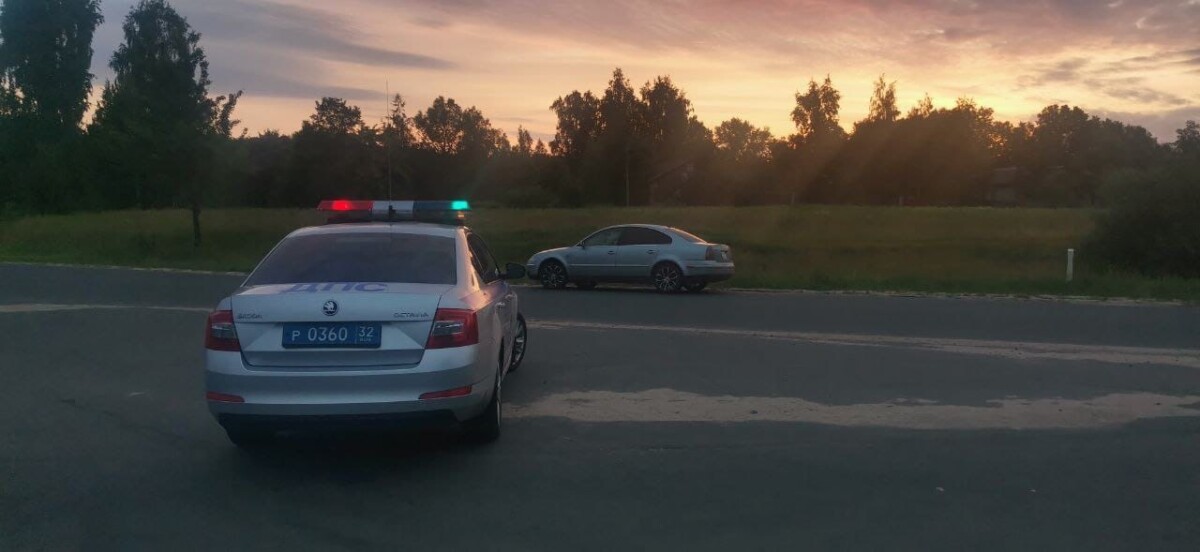 В Новозыбковском районе из машины высадили пьяного водителя