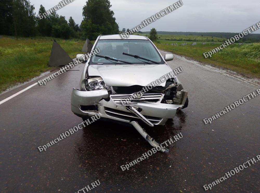 Жительница Климовского района на автомобиле наткнулась на дороге на «зубы дракона»