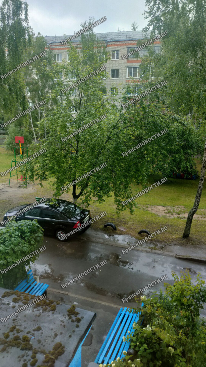 В Брянской области МЧС объявило оперативное предупреждение из-за дождей и гроз