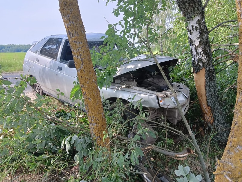 Подросток уснул за рулем ВАЗа и влетел в дерево на дороге под Погаром